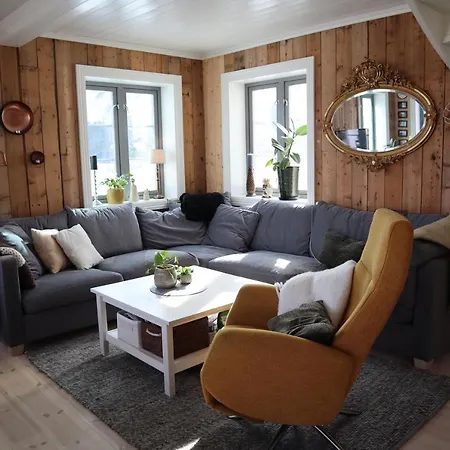 Dyr Tillatt I Vakkert Hus Med Naturomgivelser I Lofoten