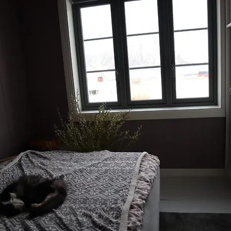 Dyr Tillatt I Vakkert Hus Med Naturomgivelser I Lofoten *