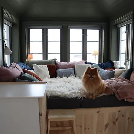 Dyr Tillatt I Vakkert Hus Med Naturomgivelser I Lofoten