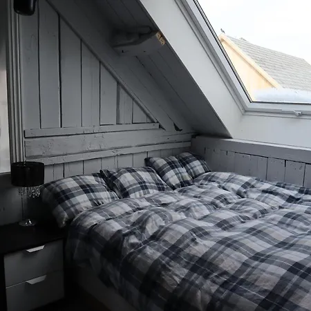 Dyr Tillatt I Vakkert Hus Med Naturomgivelser I Lofoten